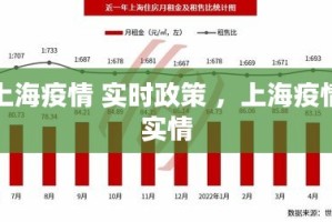 上海重疫情区，防控措施、民生保障与未来展望