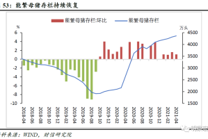 乌鲁木齐西站疫情，防控措施、影响与未来展望
