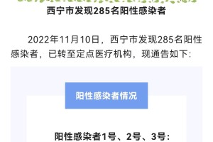 青海西宁新型肺炎最新动态，防控措施与市民应对指南