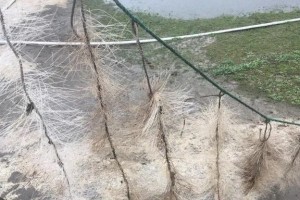 浙江省疫情防控指挥中心电话，权威指南与使用场景解析