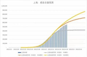 上海新冠疫情分布图，实时数据与防控策略深度解析