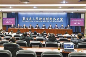 重庆疫情高风险区最新动态，权威发布与防控指南