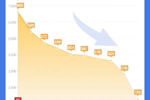上海公布最新传染病数据，郑州疫情再引关注，防控策略与市民应对指南