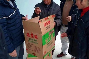 疫情期间从广东回重庆，一段难忘的返乡之旅