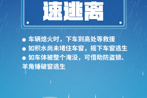沈阳疫情后全面开业通知，最新政策与安全指南