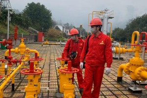 重庆与武汉，两座英雄城市的抗疫之路与经验启示