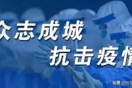 沈阳疫情行动，全民抗疫的坚韧与温暖