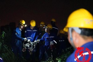 哈尔滨疫情最新动态，公共交通是否全部停运？权威解读来了