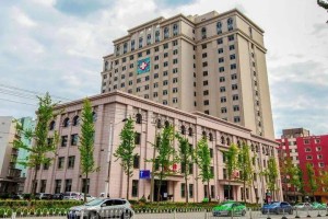 沈阳疫情最新动态，各大医院开诊时间及就医指南