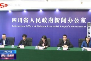 四川省疫情防疫工作指南，全面解读与实用建议