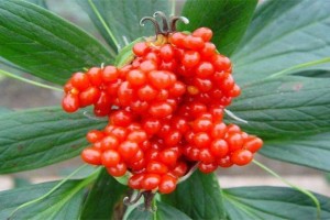 香港特别行政区归谁管？疫情下的治理体系解析