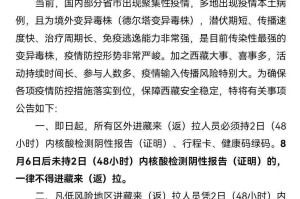 疫情合肥事件与拉萨最新消息，防控措施与社会影响深度解析