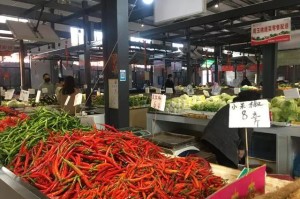 长沙疫情连续0增长多少天？最新数据与防控经验解析