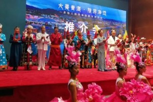 青海省海南州新型肺炎病例，最新动态与防控措施解析