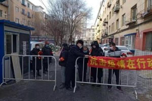 沈阳通报最新疫情防控动态，精准施策，共筑防线