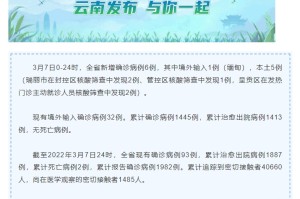 云南省新增病例最新消息，疫情动态与防控措施全面解析