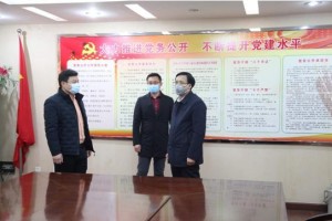 山东省疫情实时动态，最新统计图表与防控措施解析