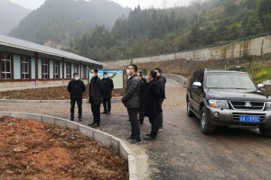 重庆市疫情最新动态，防控措施与市民应对指南