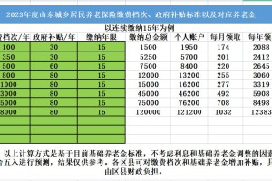 2024山东省省考应届毕业生报考指南，政策解析与备考攻略