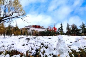 疫情下的拉萨，雪域圣城的坚守与希望