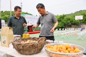 南石家庄村书记，乡村振兴路上的领路人