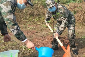 重庆市疫情管理与长春最新消息，防控措施与最新动态解析