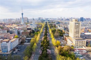 疫情后的长春，复苏、转型与城市新活力