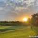沈阳大东区疫情现状分析，当前防控形势如何？