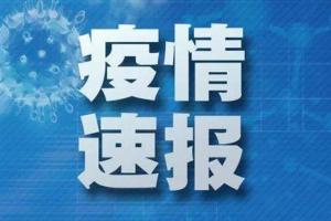 山西省疫情官网发布最新动态，郑州疫情最新消息与防控措施解析