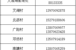 重庆市疫情公告与南昌最新防控措施对比分析
