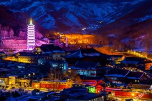 山西省疫情中心电话及防疫指南，权威联系方式与实用建议