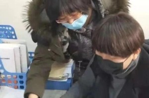 长春疫情追踪，最新动态、防控措施与市民应对指南