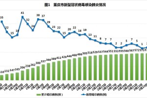 重庆与上海疫情对比分析，防控策略与成效差异