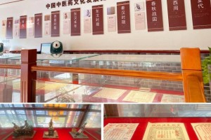 天津中医堂，传承千年中医智慧，守护现代健康生活