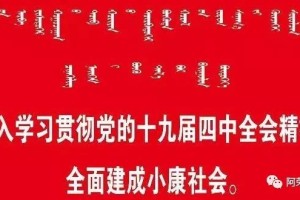 内蒙古自治区防疫指挥部最新公告，全面升级防控措施应对疫情挑战
