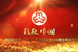 重庆卫视抗疫特别节目，温暖山城的荧屏力量