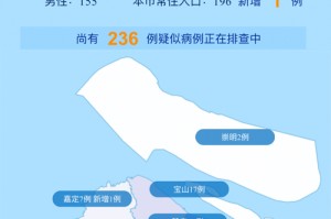 上海疫情区域防控策略，精准施策与社区韧性