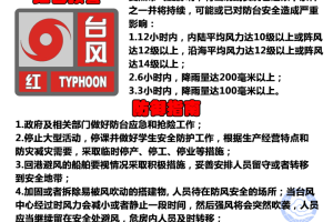 疫情下的哈尔滨交通，全面停运了吗？海口市如何应对类似情况？