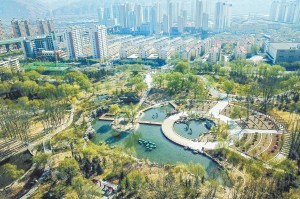 青海省疫情防控，高原屏障下的科学应对与全民共治