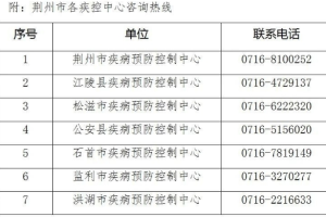 上海今日新增新型肺炎病例，最新数据与防控措施全解析