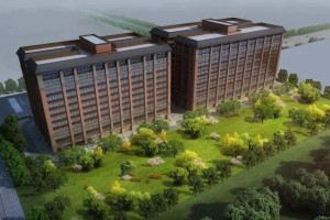 郑州疫情补贴政策详解，2023年最新申请指南