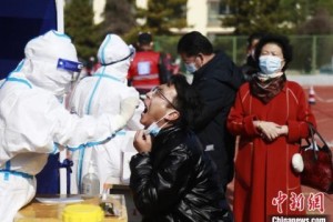 青海省西宁市疫情防控，精准施策与全民共筑健康防线