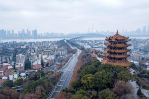 太原封城时间与南京防疫对比，未来封控趋势分析