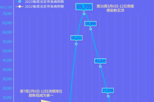 2023年合肥与北京疫情死亡人数对比分析，数据解读与防控措施回顾