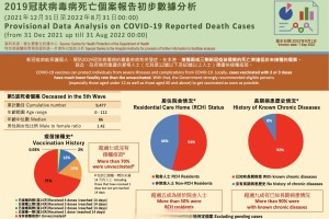 疫情下的合肥与香港，死亡人数对比与防控措施分析