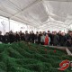 陕西省水利工程信息平台，数字化赋能水利现代化的新引擎