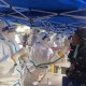 青海西宁疫情防控最新政策，出行、核酸检测及隔离要求详解（2023年更新）