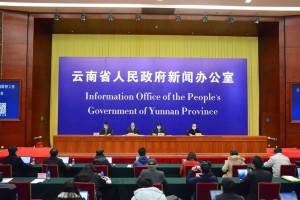 云南省新冠疫情指挥部，高效应对疫情挑战的坚强堡垒