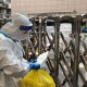 上海市新增疫情，最新动态与防控措施解析