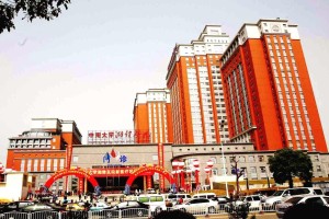 上海与长沙，政策差异下的城市发展路径比较